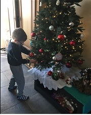 Dylano kerstboom