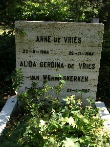 graf Anne de Vries