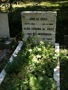 graf Anne de Vries