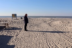 strand Den Haag