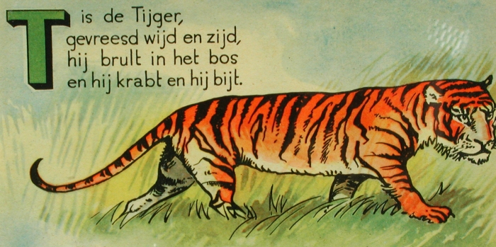 T is de tijger